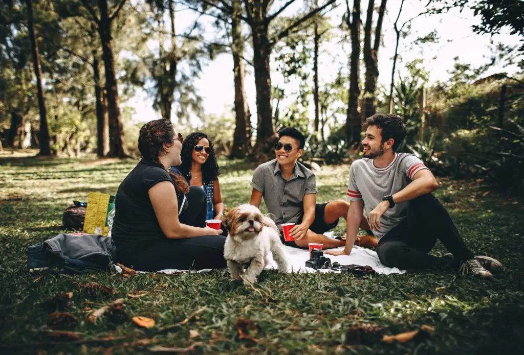 friends chatting